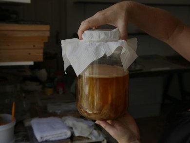 How to Decide If Your Kombucha Is Ready to Drink: A Guide for Home Brewers - Scoby Factory