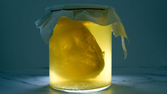 Kombucha Mushroom SCOBY! Complete Guide About How To Take Care - Scoby Factory