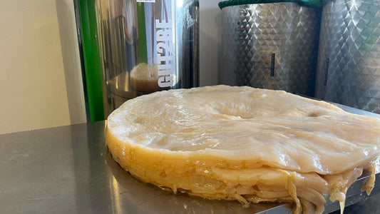 Utilizing the Extra Kombucha Mushroom: Creative and Practical Ideas - Scoby Factory