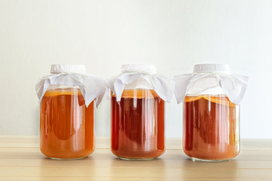 What Is Kombucha and What Are Its Benefits - Scoby Factory