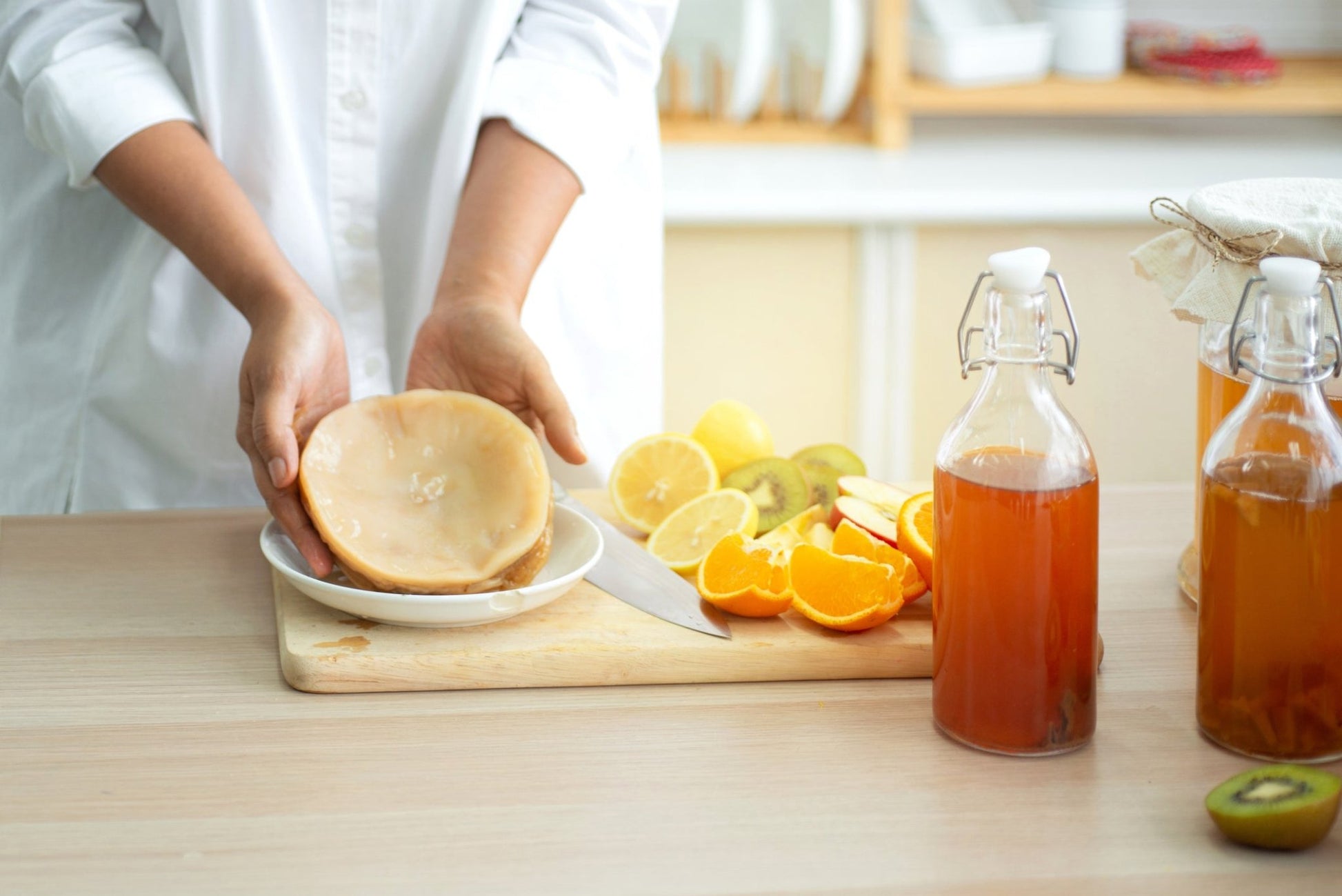 Kombucha Tea Mushroom (Scoby) - Scoby FactoryScoby Factory